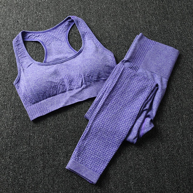 Gym 2 Piece Set Workout Clothes for Women Yoga Set